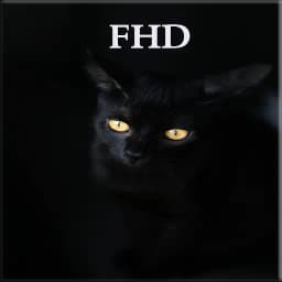 Black Fhd Wallpapers