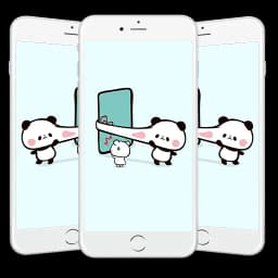 Wallpaper Panda Lucu